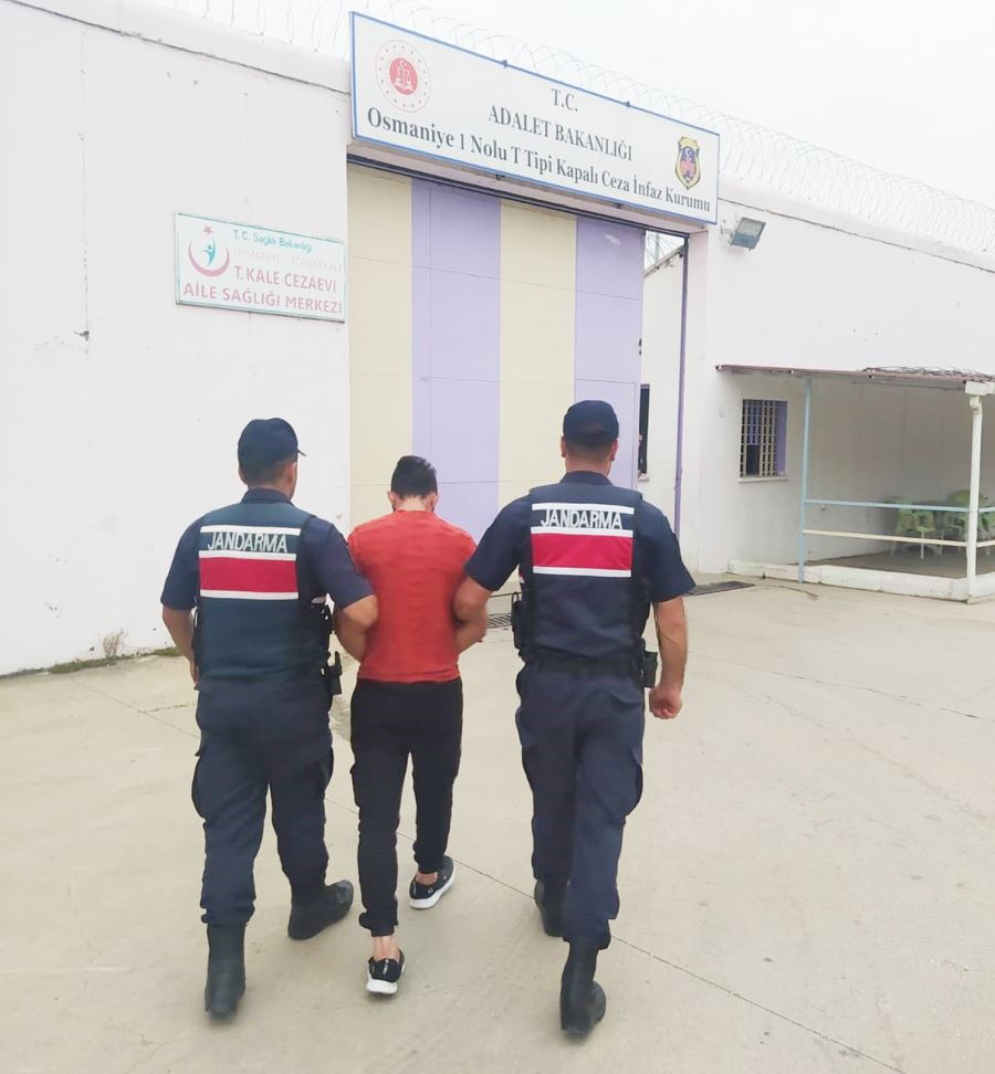 Jandarma, hırsızlık şüphelisini yakaladı 
