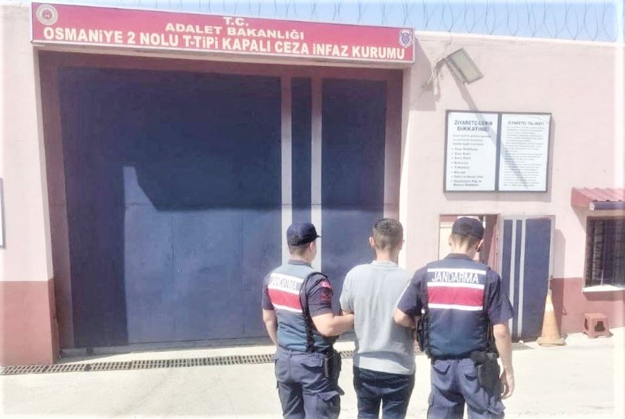 Jandarma, hırsızlara göz açtırmıyor 