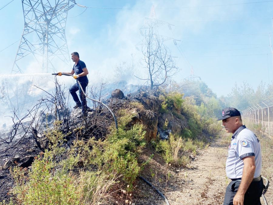 Orman yangınında 1 dekar alan zarar gördü 