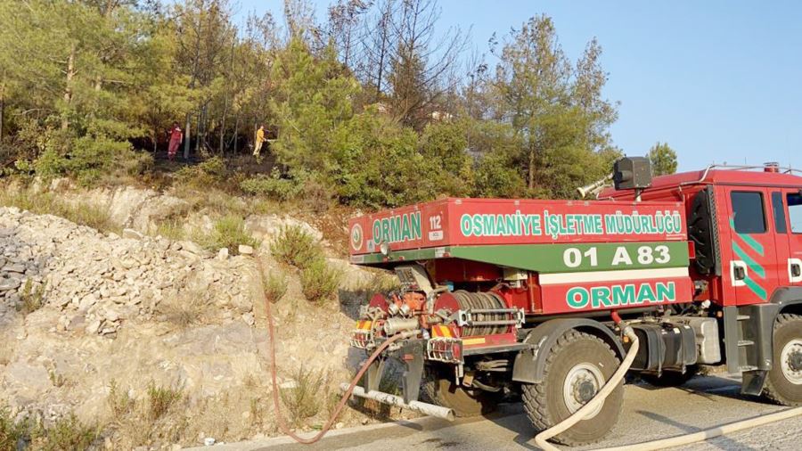 Kabaktepe mevkisinde orman yangını çıktı 