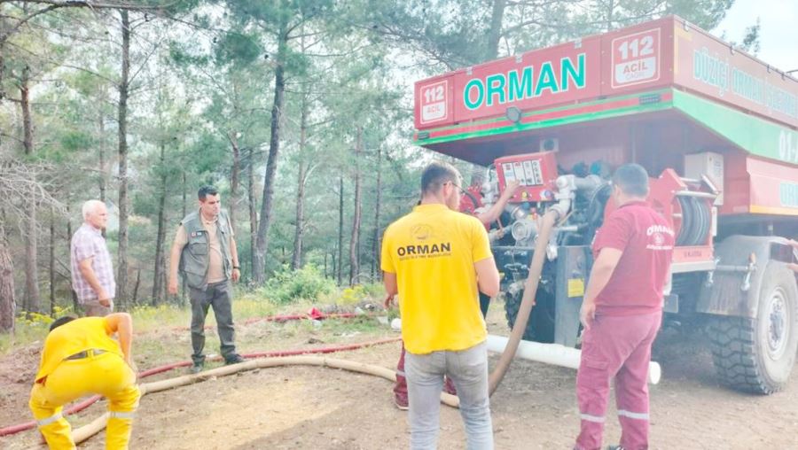 Yangında 10 dönüm alan zarar gördü 