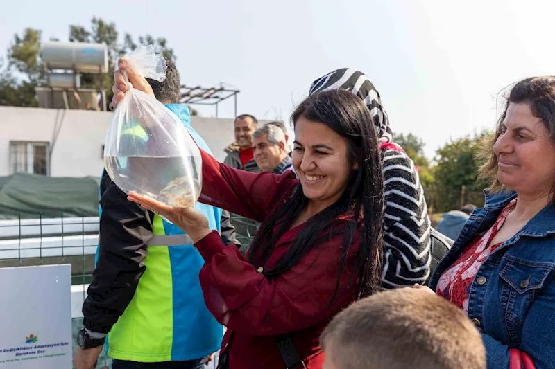 Mersin’de kadınlar haşere mücadelesi için lepistes balığı yetiştirecek
