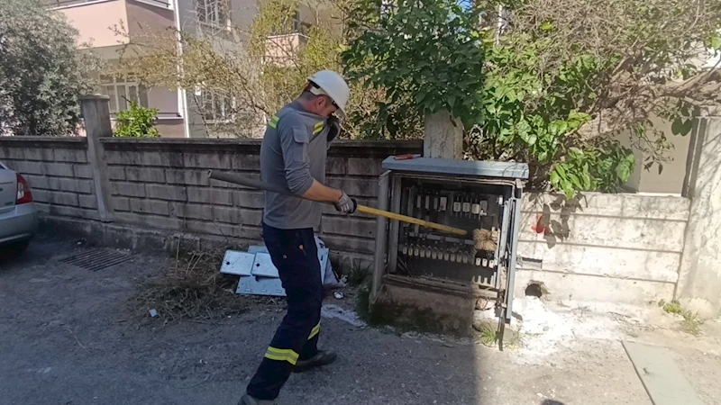 Elektrik baksına giren kedi akıma kapılarak  telef oldu
