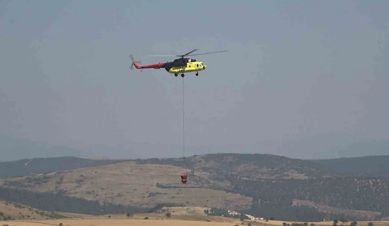 Balıkesir’de orman yangını
