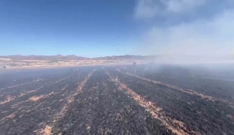 Elazığ’da yangın, 60 dönümlük ekili alanı küle çevirdi
