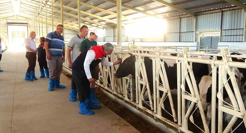 Samsun’da ari işletme sayısı 10’a yükseldi
