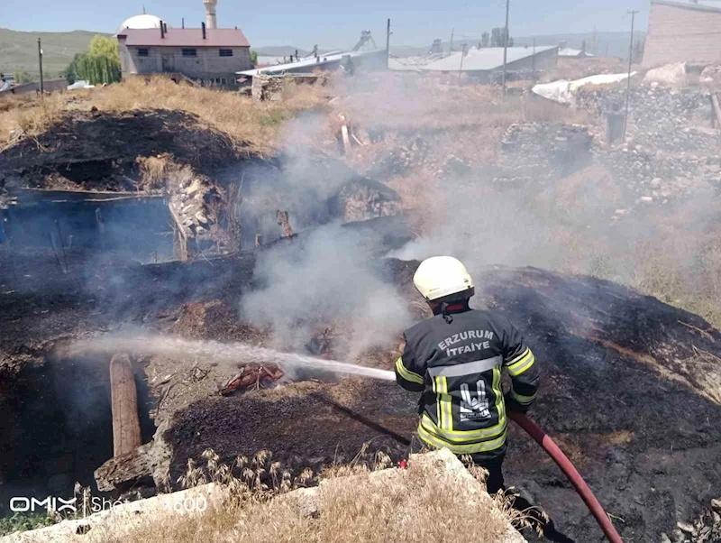 Pasinler’de ahır yangını
