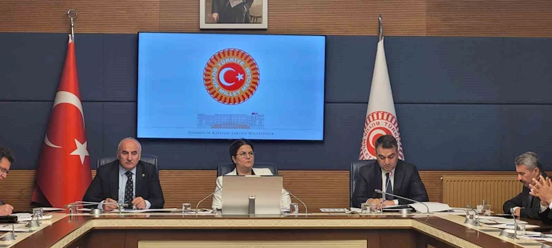 TBMM İnsan Haklarını İnceleme Komisyonu, alt komisyonların kurulması amacıyla toplandı
