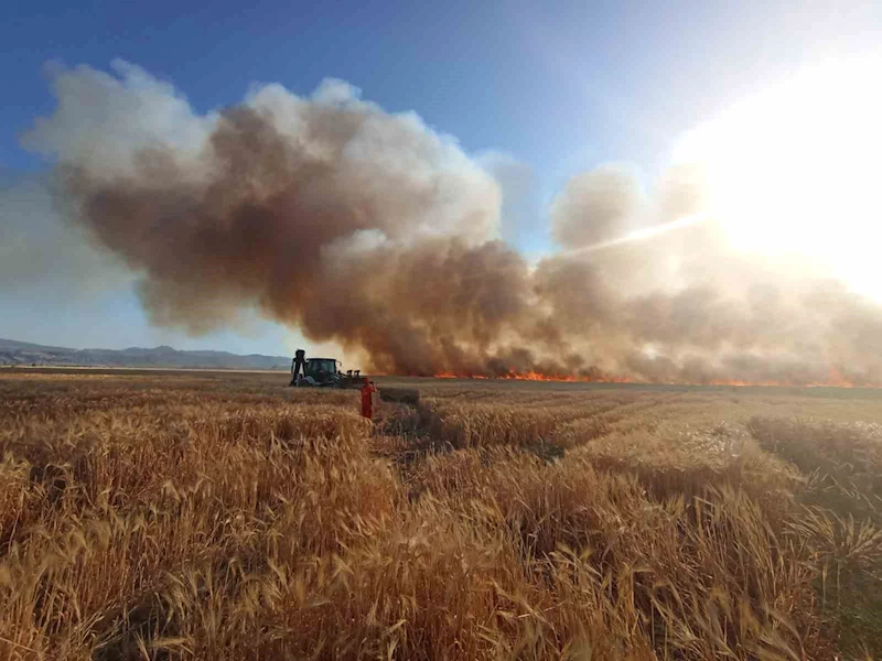 Bingöl’de onlarca dönüm ekili arazi küle döndü
