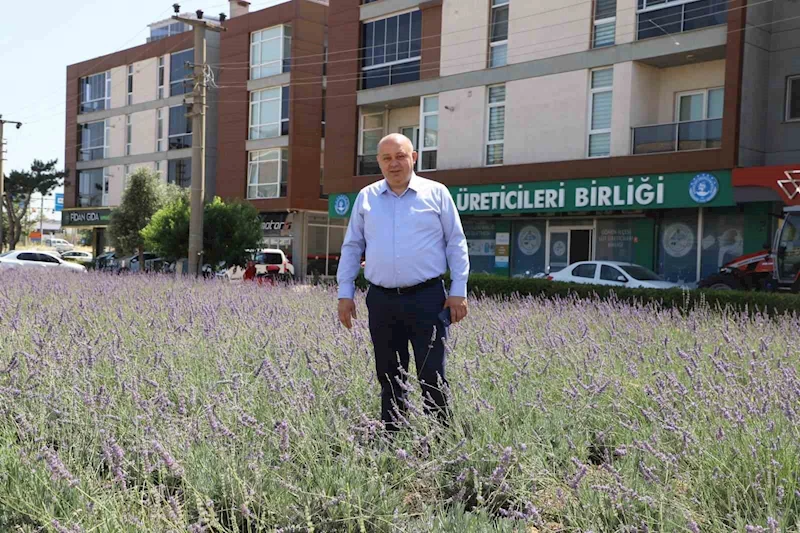 Gönen’de biyogaz tesisine 