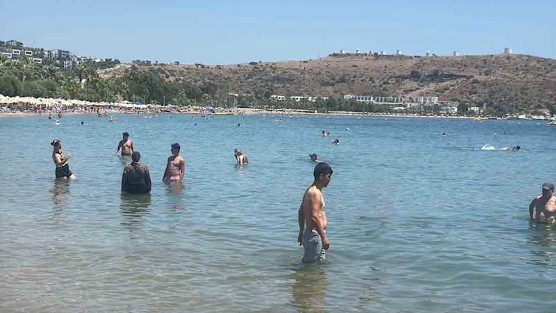 Bodrum kavruldu hava sıcaklığı 44 dereceye ulaştı
