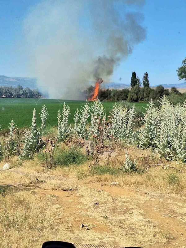 Bingöl’de ağaçlık alanda korkutan yangın
