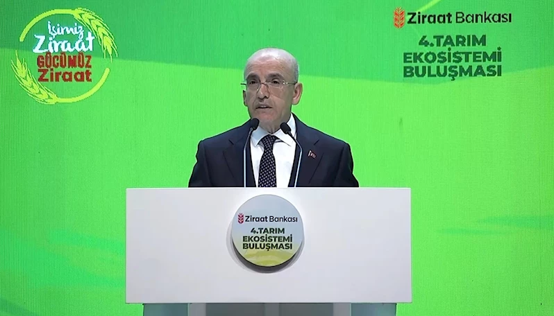 Bakan Şimşek: 