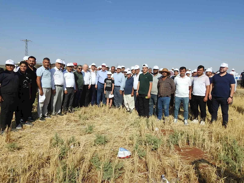 TZOB Başkanı Bayraktar’dan Kilis’te tarımsal afet değerlendirmesi
