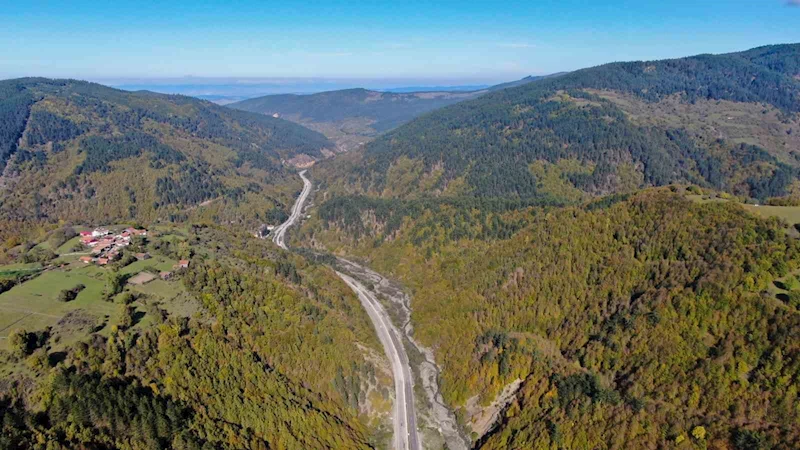 Kastamonu’da ormanlık alanlara girmek yasaklandı
