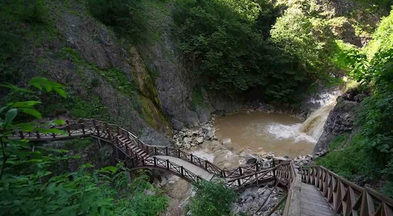 Giresun Valiliği: 