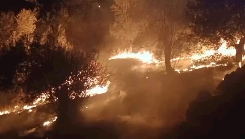 Balıkesir’de zeytinlik alanda çıkan yangına ekipler müdahale ediyor
