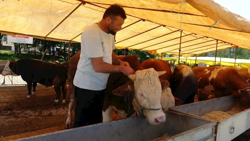 Ülke genelinde tüm hayvan pazarları kapatıldı
