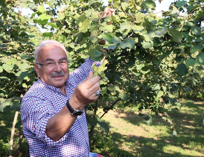 Başkan Güler’den Ferrero’ya karşı tarihi fındık mücadelesi: 