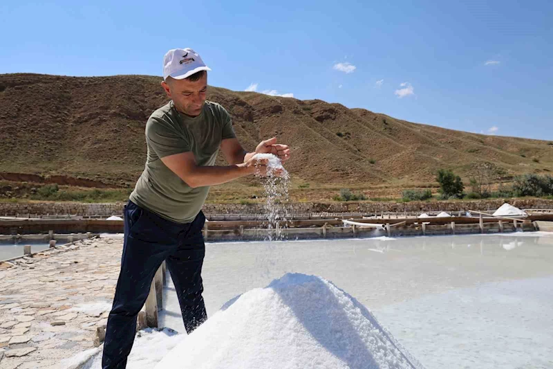 Beyaz altın hasadı başladı
