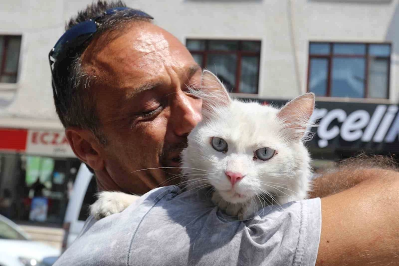 Kayıp kedisine günler sonra kavuştu, bu kez mutluluktan ağladı
