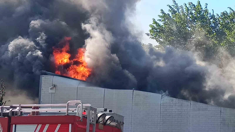 Pendik’te atık su arıtma tesisinde yangın çıktı. Olay yerine çok sayıda itfaiye ekibi sevk edildi.
