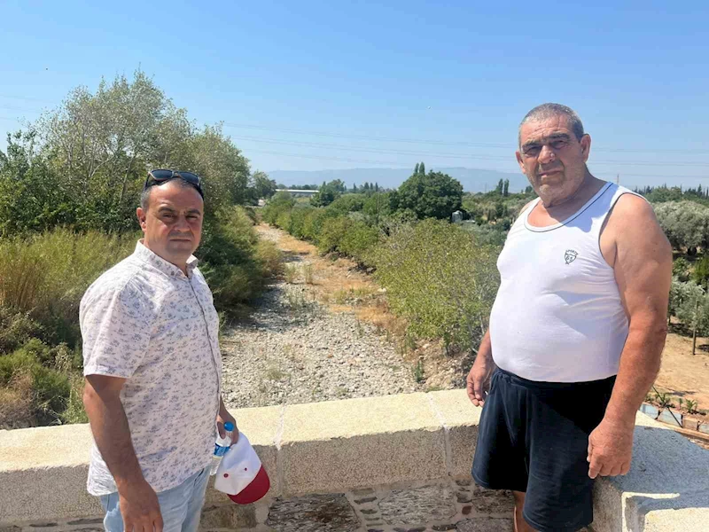 İkizdere Barajı’ndan su bırakılmadı, ağaçlar kurudu
