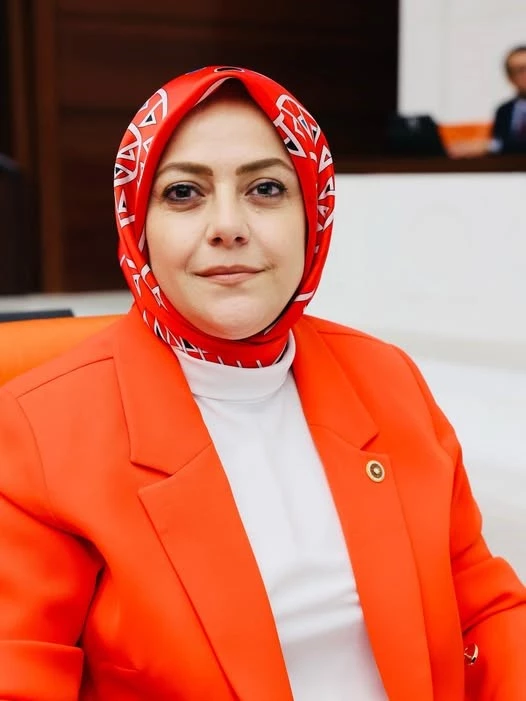 Milletvekili Ün; 