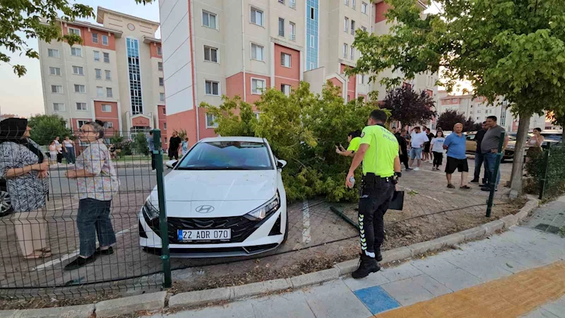 Edirne’de seyir halindeki ticari araç site bahçesine girdi
