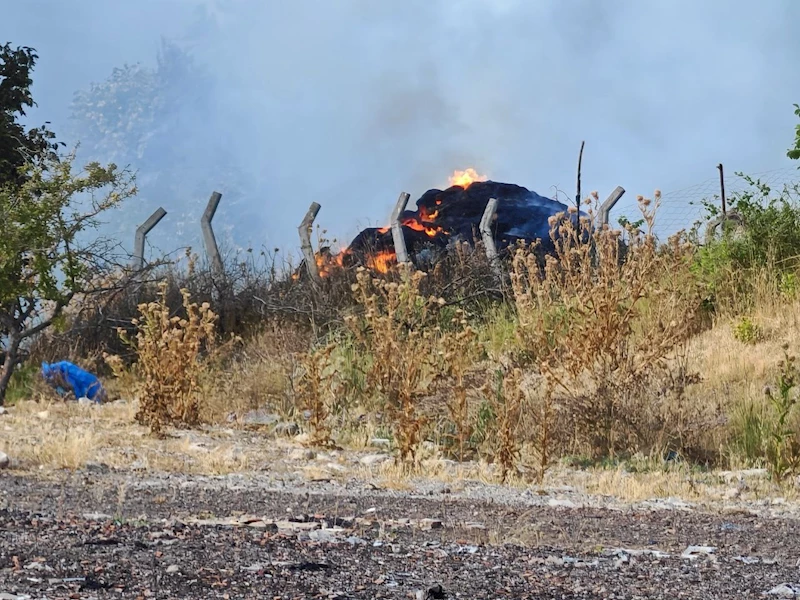 Tekirdağ’da anız yangını ormanlık alana sıçradı
