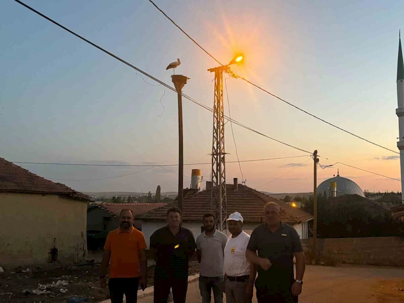 Yıkılan 20 yıllık yuva yenilendi, ilk misafiri adım attı
