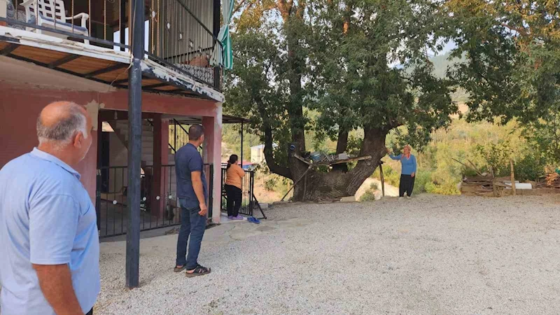 Dallarıyla 
