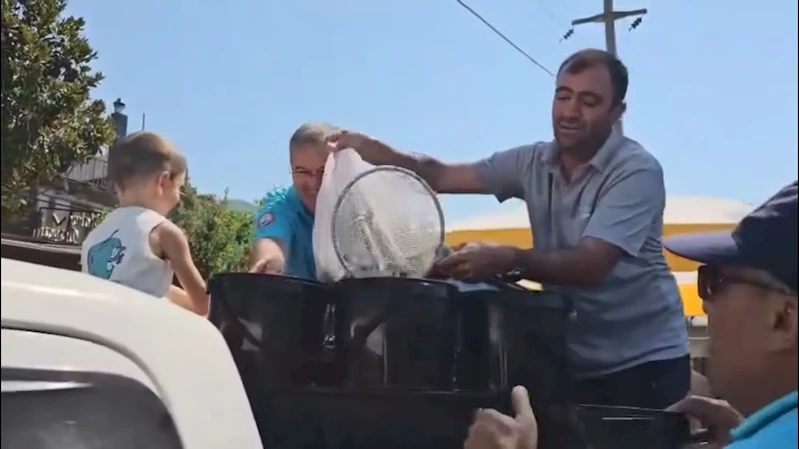 Kadın azmağına 35 bin levrek yavrusu bırakıldı
