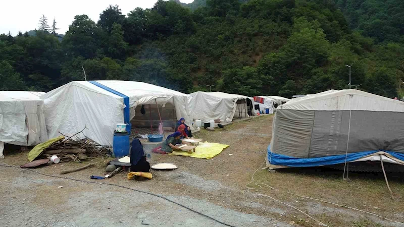 Mevsimlik tarım işçileri fındık hasadı için Ordu’da

