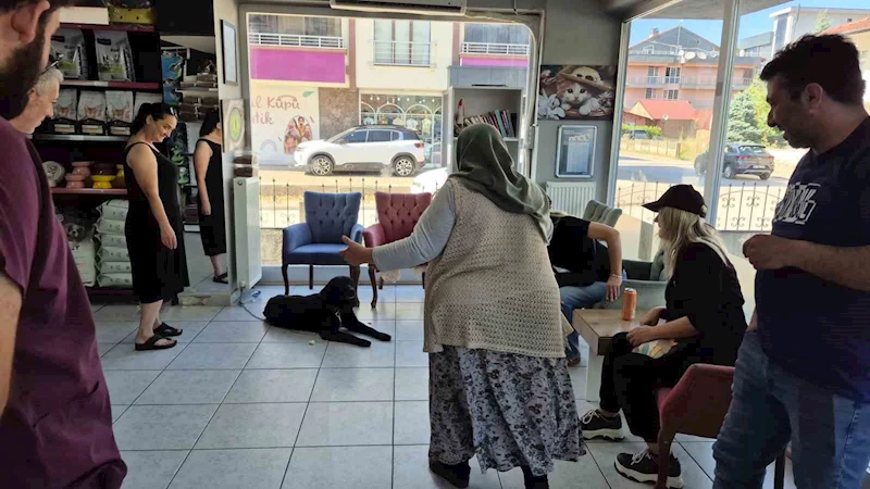 Bir yıl sonra 