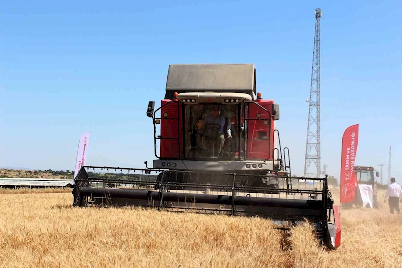 Kırklareli Valisi Turan, buğday hasadına katıldı
