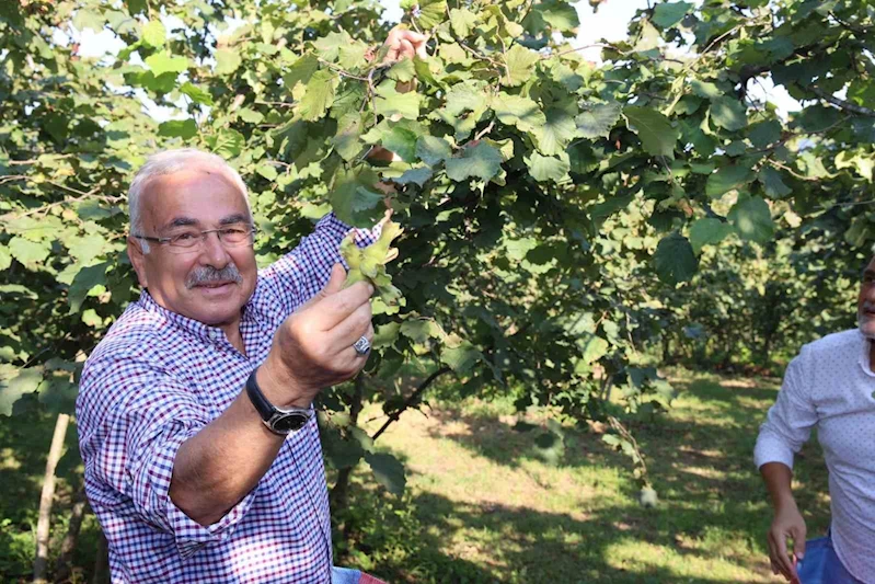 Ferrero’ya ’yasak’ geldi
