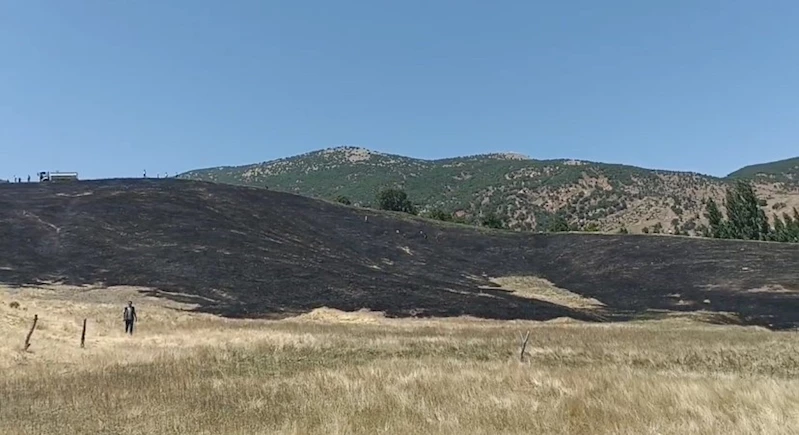 Hizan’da anız yangını, 40 dönüm arazi zarar gördü
