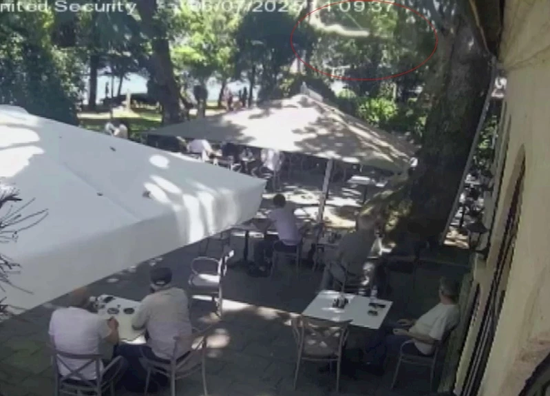 Çınardan kopan dal can aldı: O anlar kamerada
