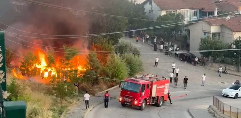 Tokat’ta arı kovanları küle döndü
