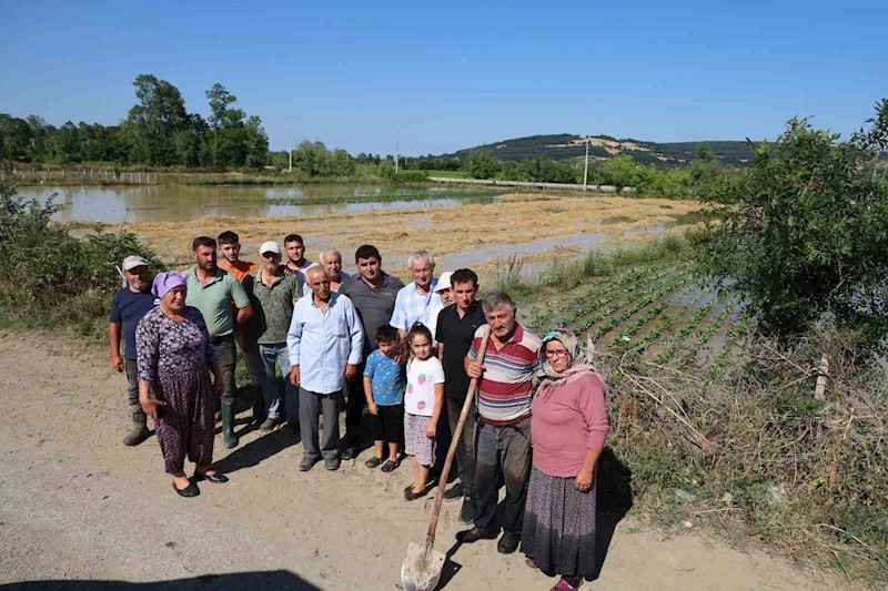 Bafra’da su kanalı taştı, mahsuller sular altında: Üreticiler tepkili
