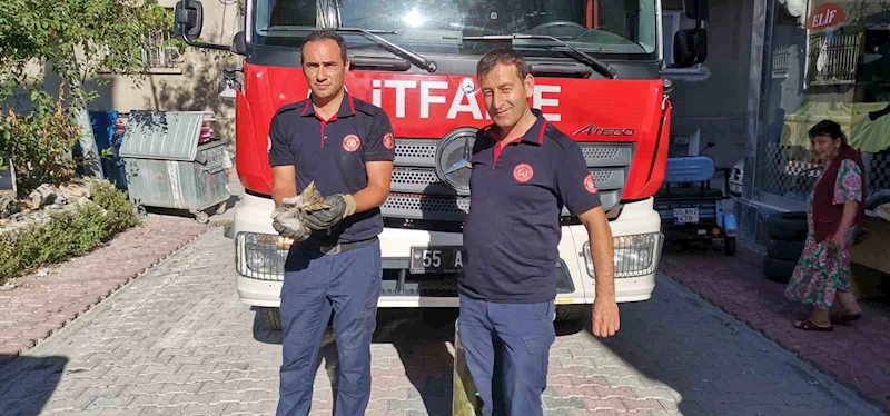 İtfaiye ekiplerinden yavru kedi kurtarma operasyonu
