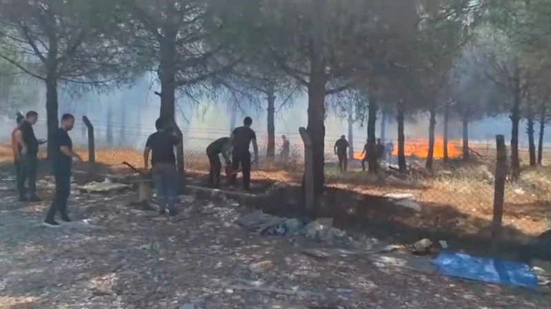 Silivri’de yangın ormanlık alana sıçramadan söndürüldü
