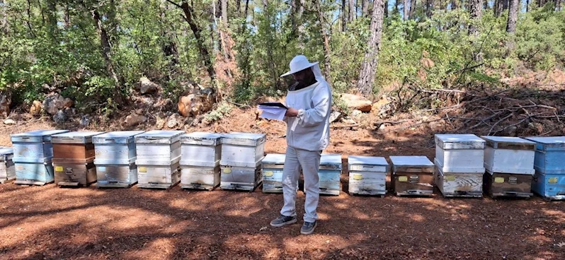 Menteşe’de 2025 arılı kovan destekleme tespitleri başladı
