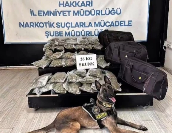 Hakkâri’de kamyonette 26 kilogram skunk ele geçirildi: 1 şüpheli tutuklandı
