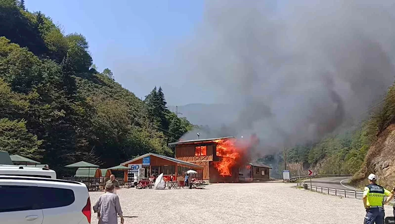 Giresun’un gözde tabiat parkında yangın felaketi
