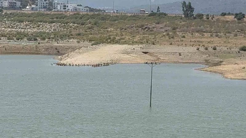Bodrum’da su alarmı: 
