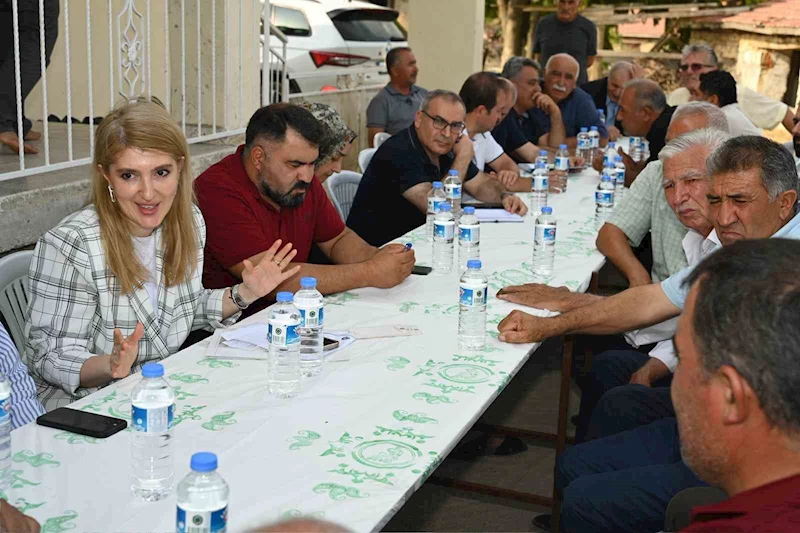 Milletvekili Ölmeztoprak, Kale ve Hekimhan’da sulama suyu toplantıları gerçekleştirdi
