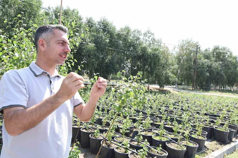 Erzurum Orman Bölge Müdürü Karakurt: 