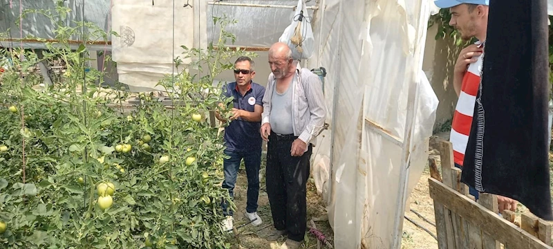 Tavşanlı’da seralarda bitki hastalık ve zararlı kontrolleri
